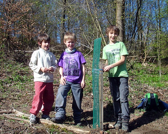 Stolze Pflanzer: Jan, Jannik und Luca (von links) mit ihrem ersten Bäumchen (Foto: Sibylle Winkel