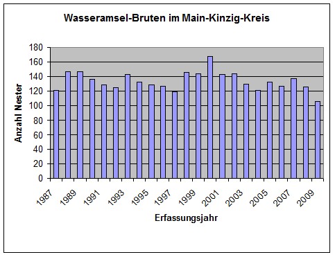 Wasseramsel-Bruten im Main-Kinzig-Kreis